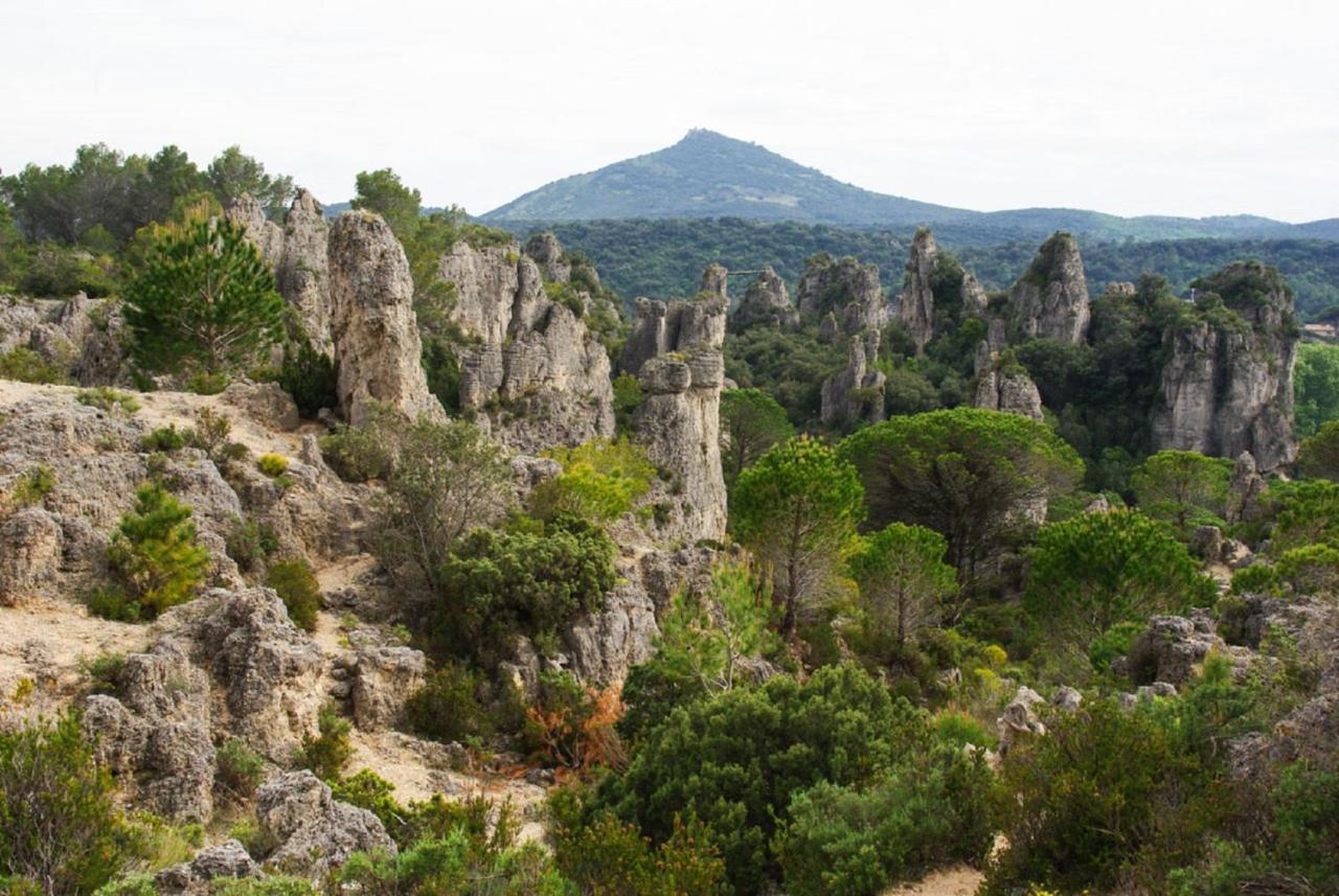 "Belle Etape"-Meuble De Tourisme 3 Etoiles -Residence "Les Logis De Beziers"-Garage Optionnel-Coeur De Ville-Plages A 16Km ! Екстер'єр фото