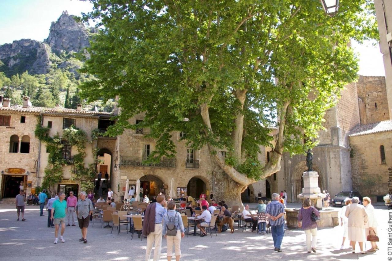 "Belle Etape"-Meuble De Tourisme 3 Etoiles -Residence "Les Logis De Beziers"-Garage Optionnel-Coeur De Ville-Plages A 16Km ! Екстер'єр фото